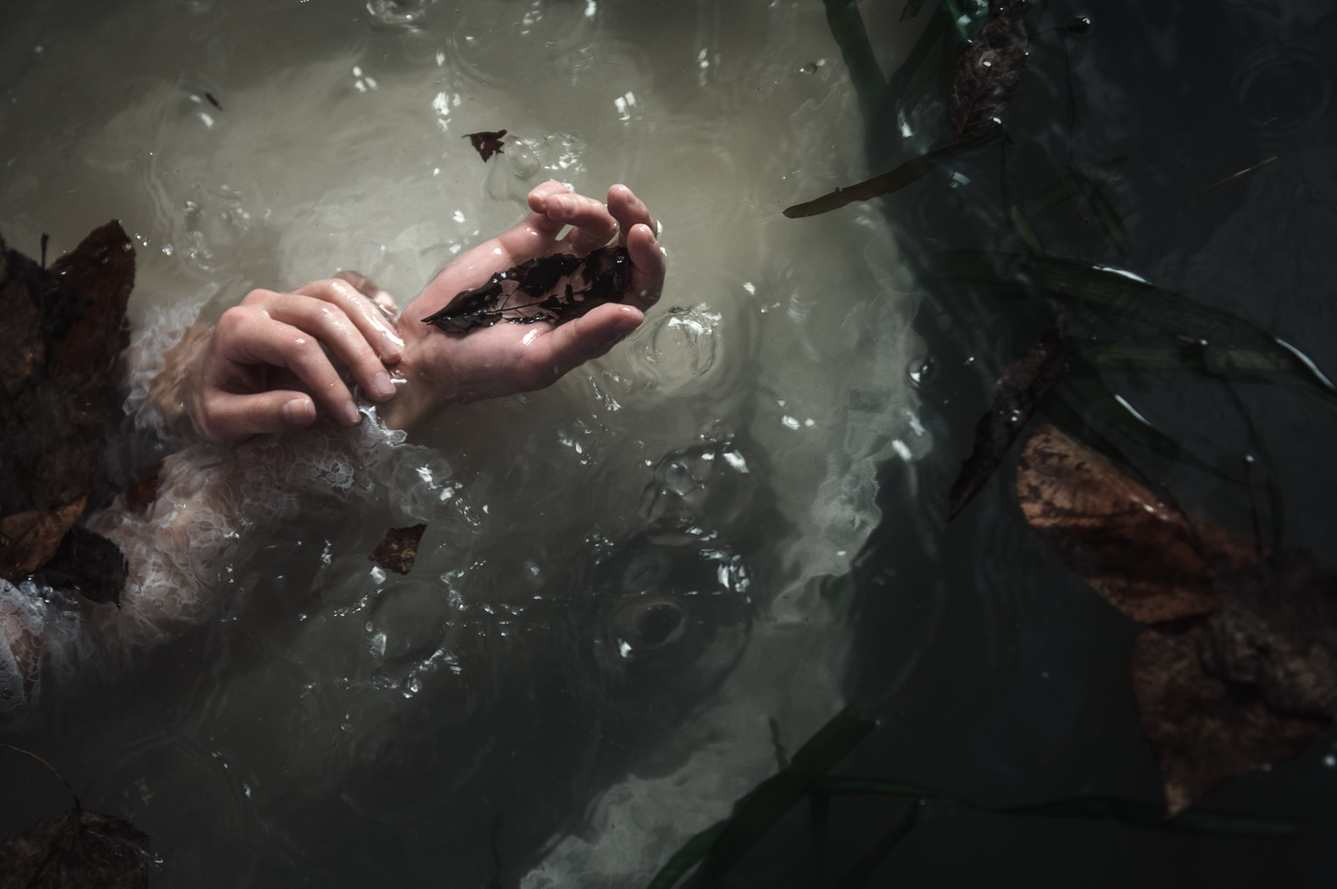 Hands cupping a small frog underwater in murky green water with floating debris and particles