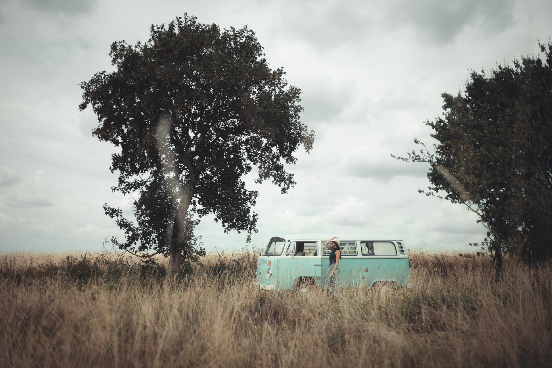 Mint-green VW van in golden grass field between two large trees under overcast sky